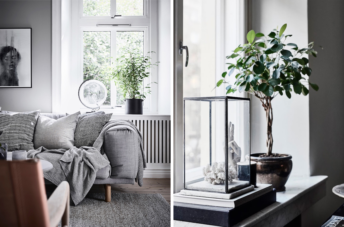 scandinavian interiors with country road