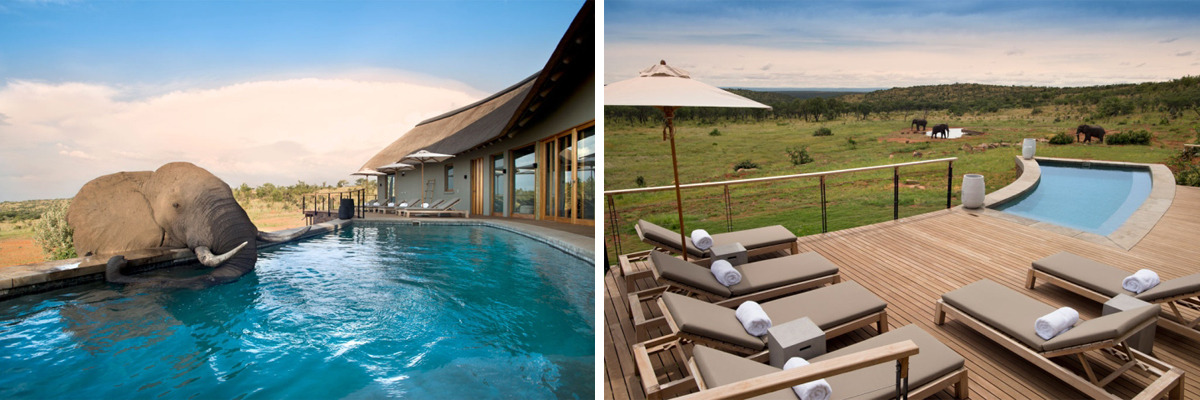 mhondoro game lodge