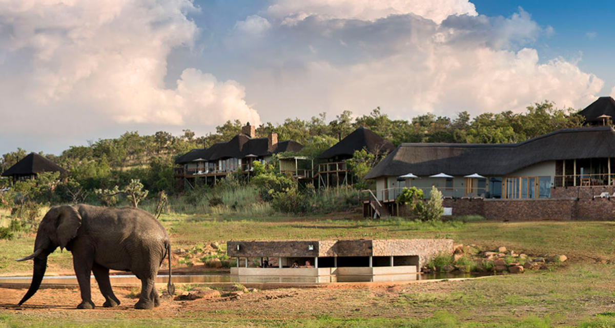 mhondoro game lodge