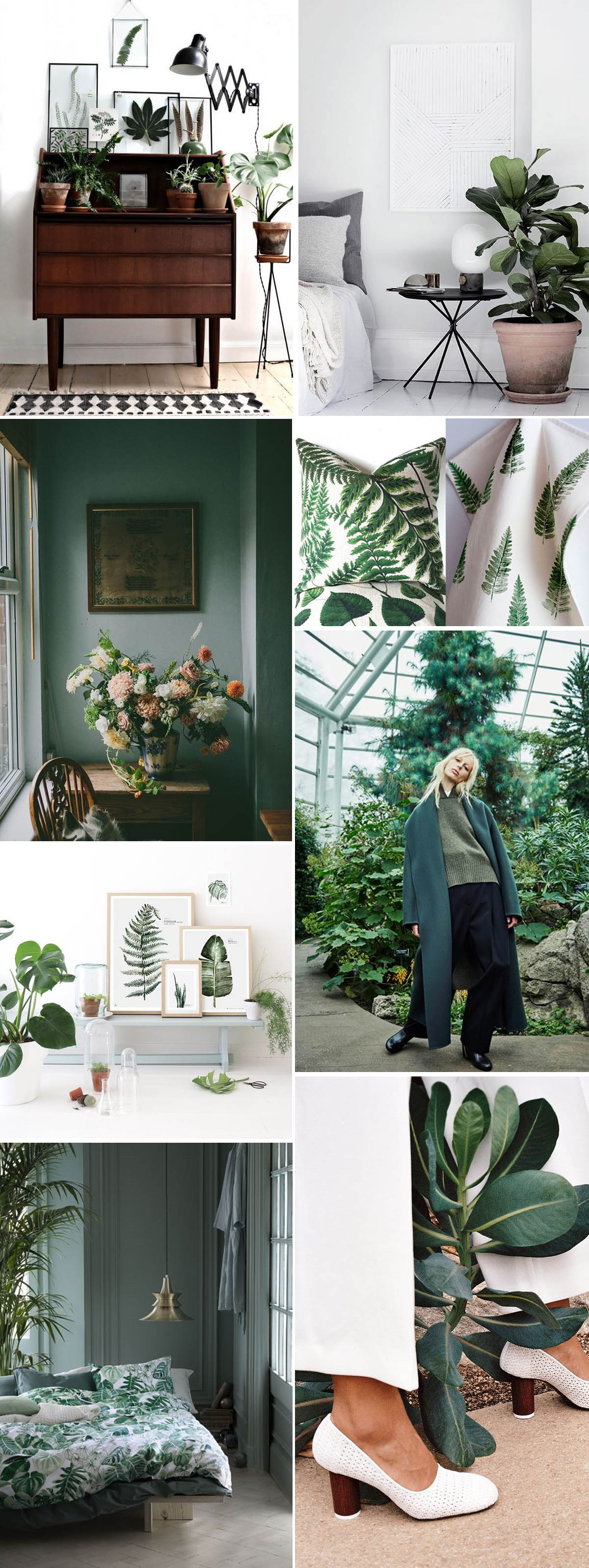 botanical trends and decor