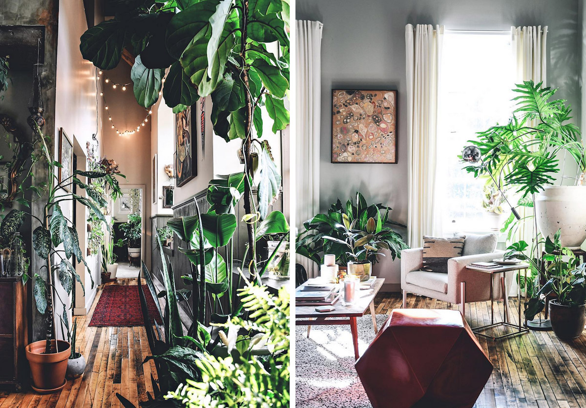 eclectic interior design plant filled home tour