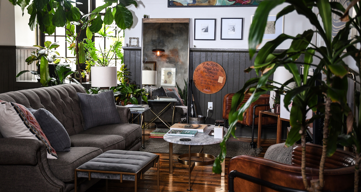 eclectic interior design plant filled home tour