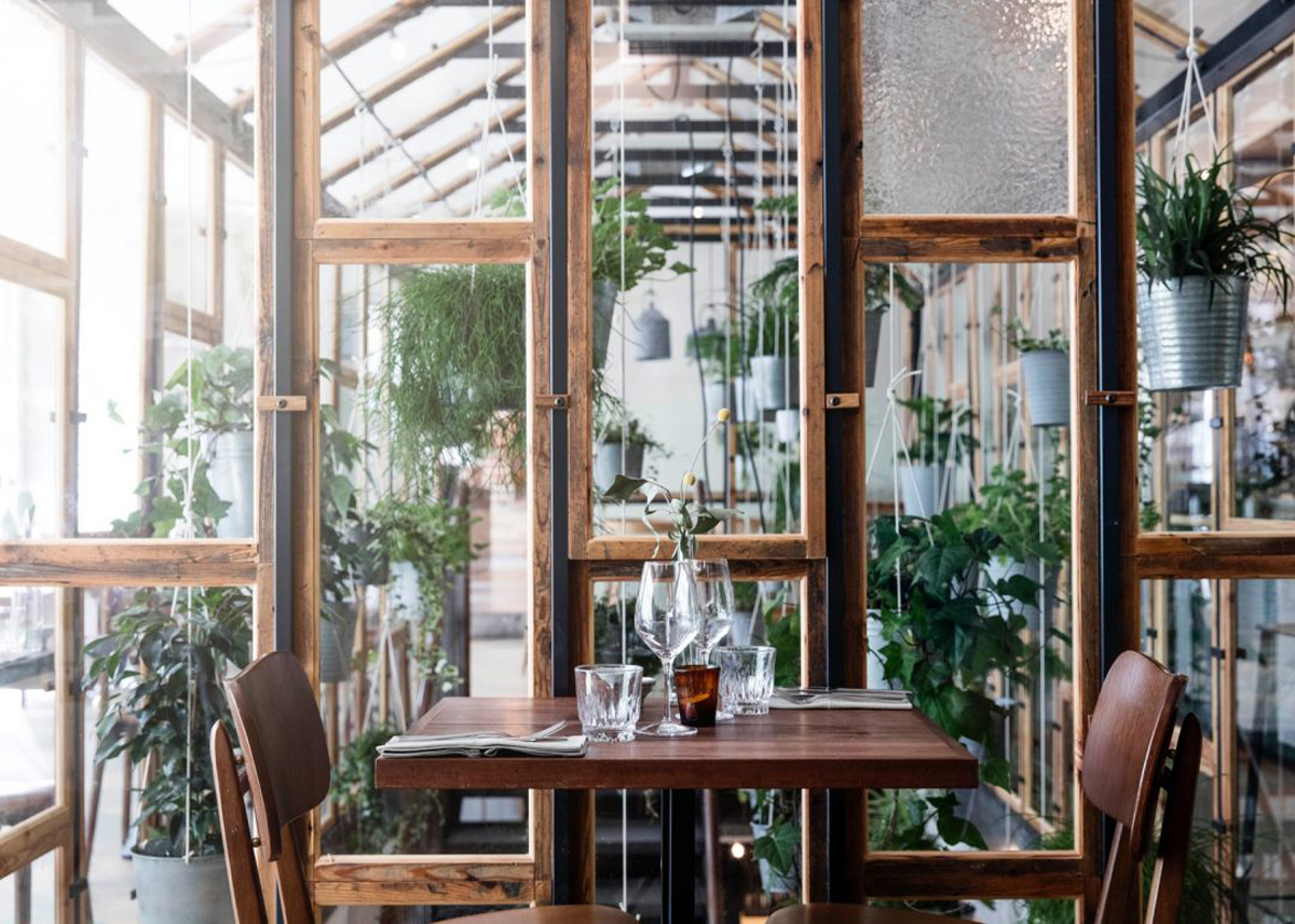 vast plant filled restaurant interior