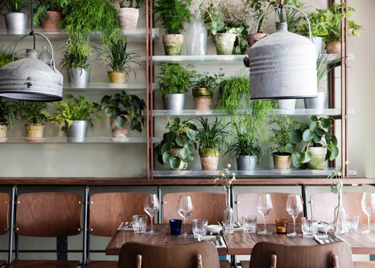 vakst plant filled restaurant interior