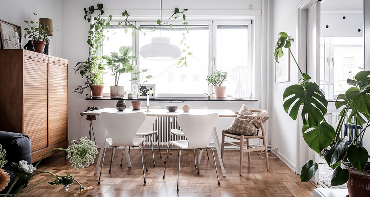 scandinavian plant filled home tour